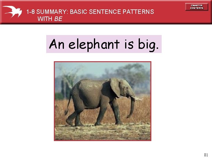1 -8 SUMMARY: BASIC SENTENCE PATTERNS WITH BE An elephant is big. 81 