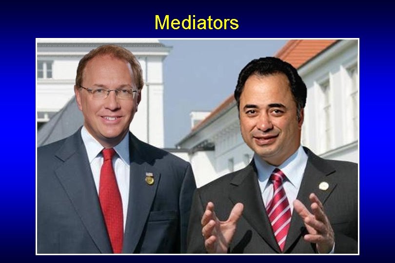 Mediators 