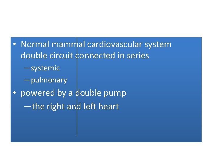  • Normal mammal cardiovascular system double circuit connected in series —systemic —pulmonary •