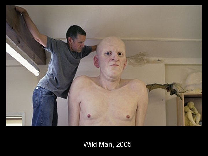 Wild Man, 2005 