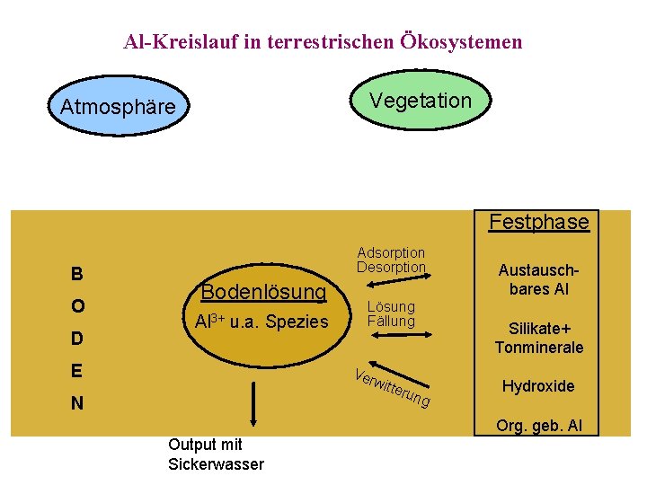 Al-Kreislauf in terrestrischen Ökosystemen Vegetation Atmosphäre Festphase B O D Adsorption Desorption Bodenlösung Al