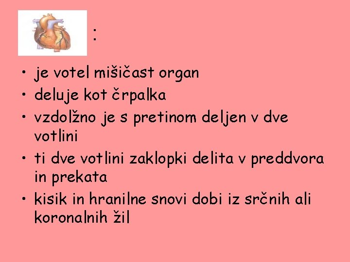 : • je votel mišičast organ • deluje kot črpalka • vzdolžno je s