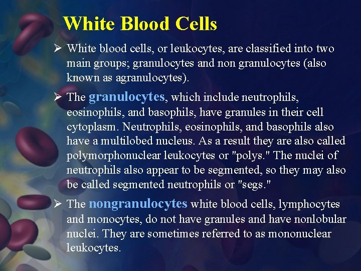 White Blood Cells Ø White blood cells, or leukocytes, are classified into two main