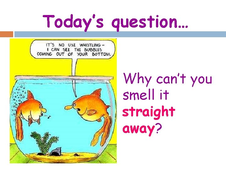 Today’s question… Why can’t you smell it straight away? 