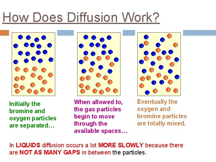How Does Diffusion Work? Initially the bromine and oxygen particles are separated… When allowed