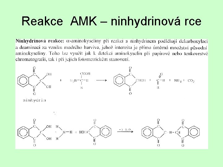 Reakce AMK – ninhydrinová rce 