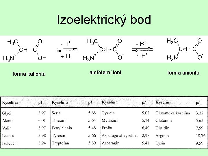 Izoelektrický bod forma kationtu amfoterní iont forma aniontu 