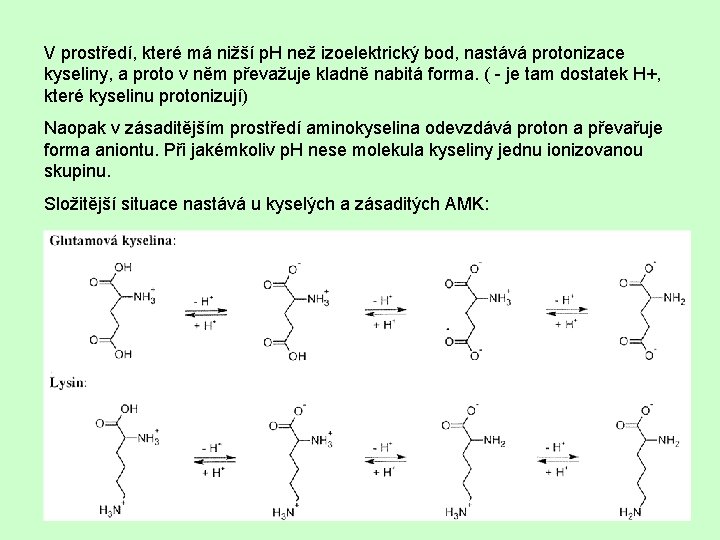 V prostředí, které má nižší p. H než izoelektrický bod, nastává protonizace kyseliny, a