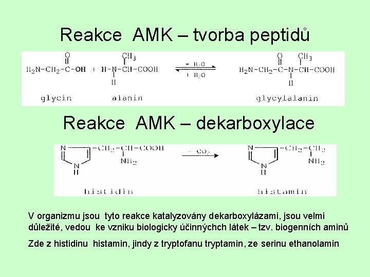 Reakce AMK – tvorba peptidů Reakce AMK – dekarboxylace V organizmu jsou tyto reakce