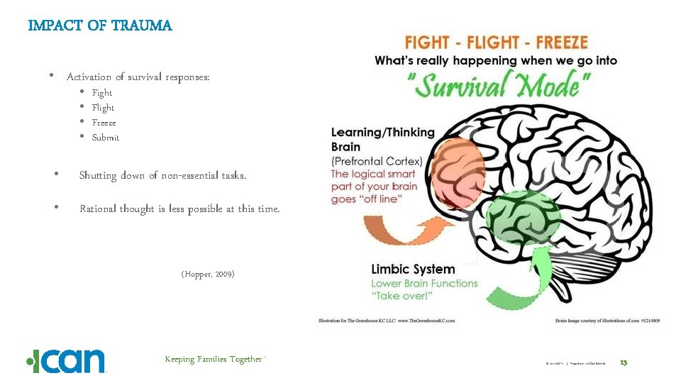 IMPACT OF TRAUMA • Activation of survival responses: • • Fight Flight Freeze Submit