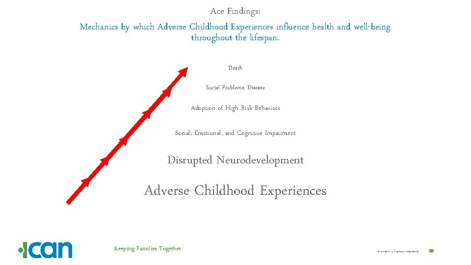 Ace Findings: Mechanics by which Adverse Childhood Experiences influence health and well-being throughout the