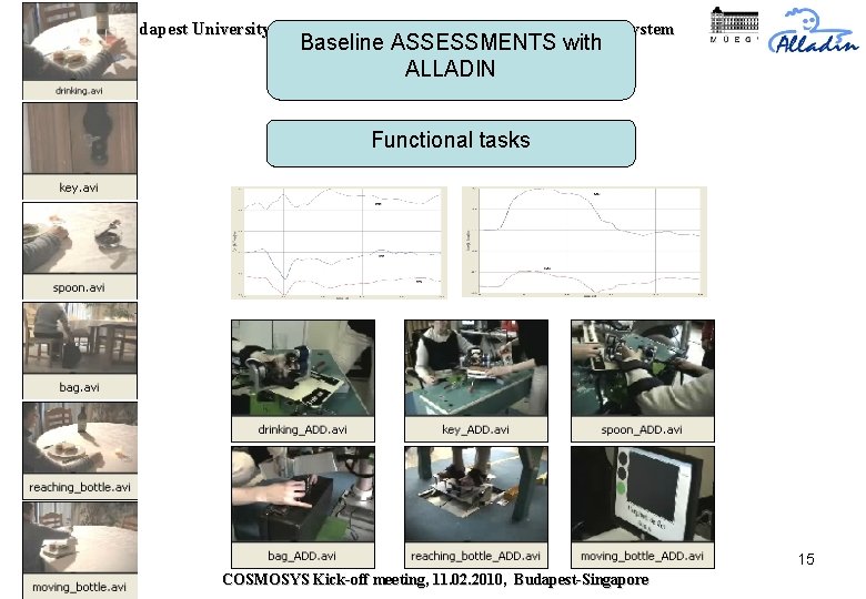 Budapest University of Technology and Economics - REHAROB system Baseline ASSESSMENTS with ALLADIN Functional