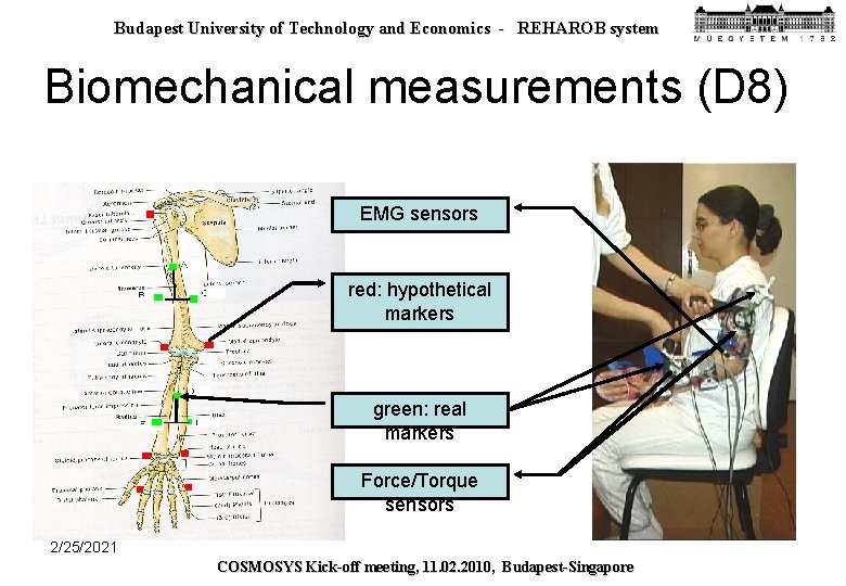 Budapest University of Technology and Economics - REHAROB system Biomechanical measurements (D 8) EMG
