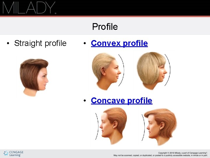 Profile • Straight profile • Convex profile • Concave profile 