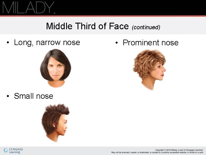 Middle Third of Face (continued) • Long, narrow nose • Small nose • Prominent