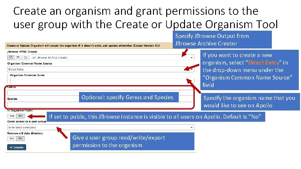 Create an organism and grant permissions to the user group with the Create or