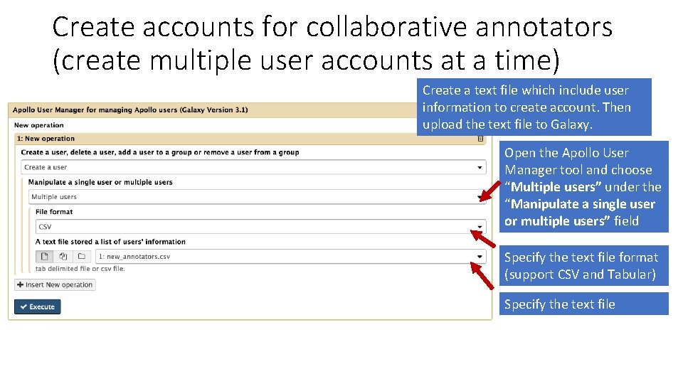 Create accounts for collaborative annotators (create multiple user accounts at a time) Create a