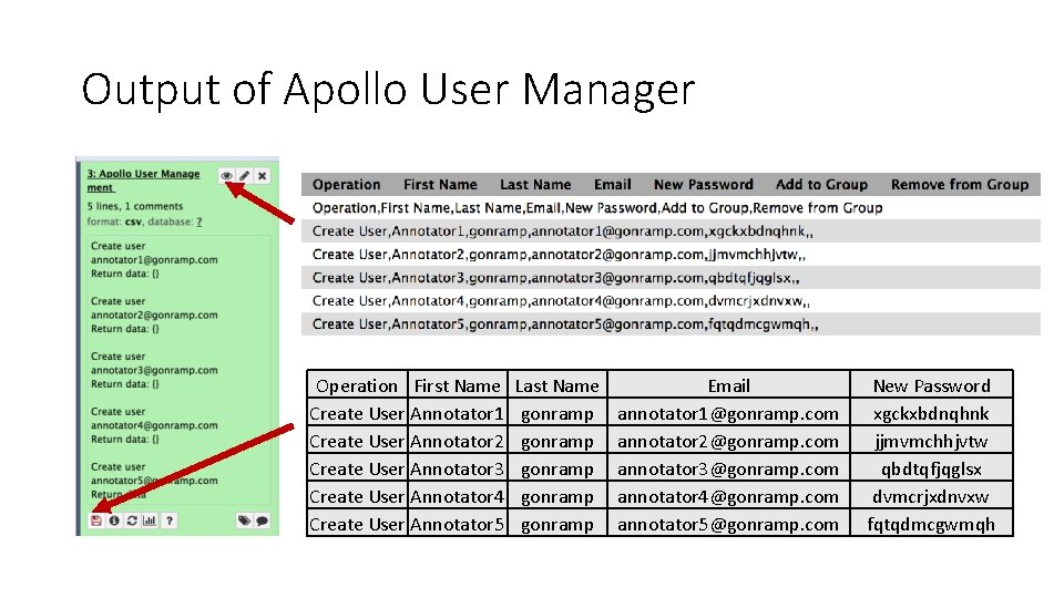 Output of Apollo User Manager Operation First Name Create User Annotator 1 Create User