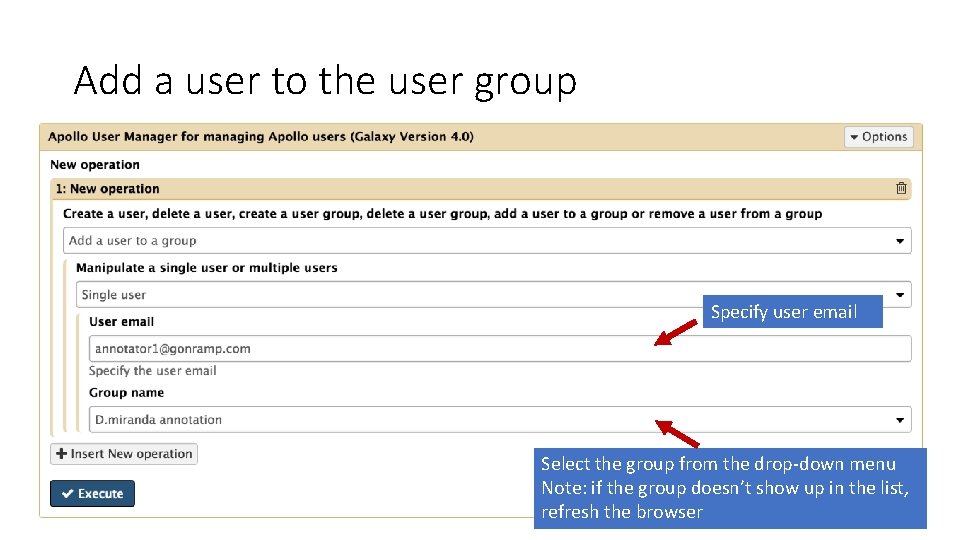 Add a user to the user group Specify user email Select the group from