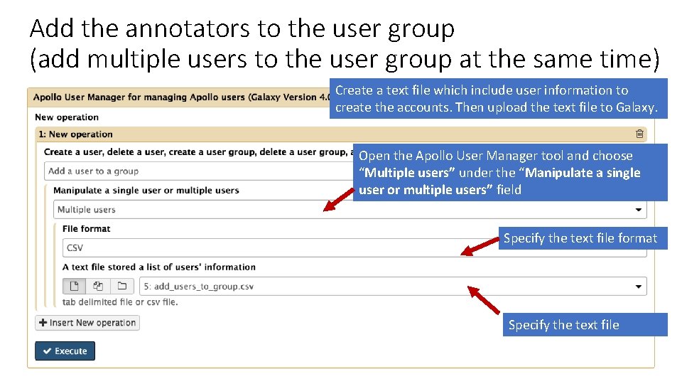 Add the annotators to the user group (add multiple users to the user group