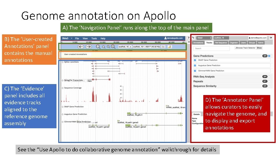 Genome annotation on Apollo A) The ‘Navigation Panel’ runs along the top of the