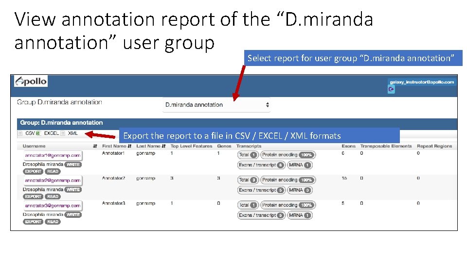 View annotation report of the “D. miranda annotation” user group Select report for user