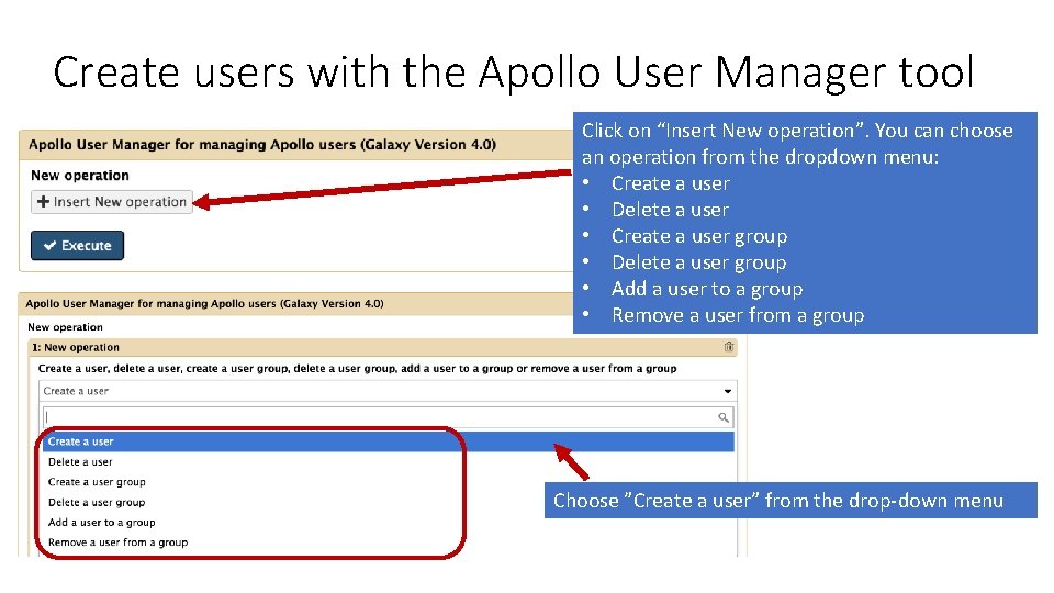 Create users with the Apollo User Manager tool Click on “Insert New operation”. You