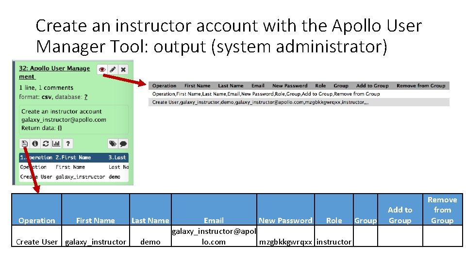 Create an instructor account with the Apollo User Manager Tool: output (system administrator) Operation