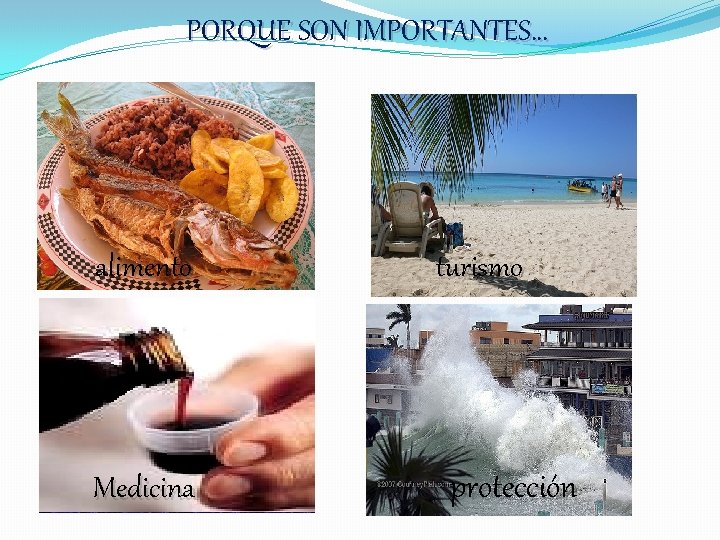 PORQUE SON IMPORTANTES… alimento Medicina turismo protección 