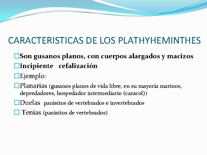 CARACTERISTICAS DE LOS PLATHYHEMINTHES �Son gusanos planos, con cuerpos alargados y macizos �Incipiente cefalización