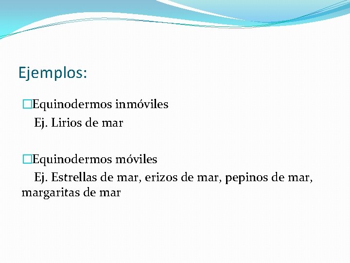 Ejemplos: �Equinodermos inmóviles Ej. Lirios de mar �Equinodermos móviles Ej. Estrellas de mar, erizos