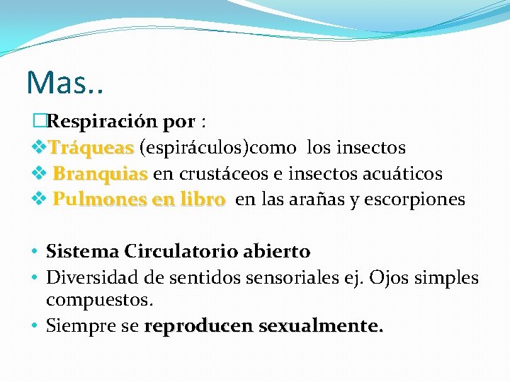 Mas. . �Respiración por : v. Tráqueas (espiráculos)como los insectos v Branquias en crustáceos