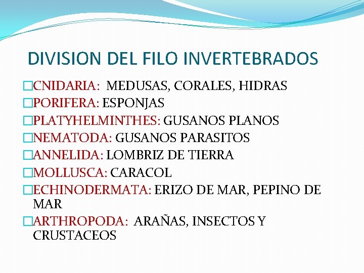 DIVISION DEL FILO INVERTEBRADOS �CNIDARIA: MEDUSAS, CORALES, HIDRAS �PORIFERA: ESPONJAS �PLATYHELMINTHES: GUSANOS PLANOS �NEMATODA: