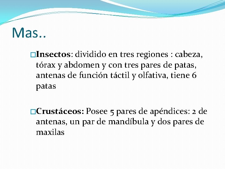 Mas. . �Insectos: dividido en tres regiones : cabeza, tórax y abdomen y con