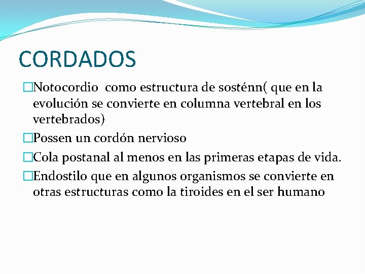 CORDADOS �Notocordio como estructura de sosténn( que en la evolución se convierte en columna