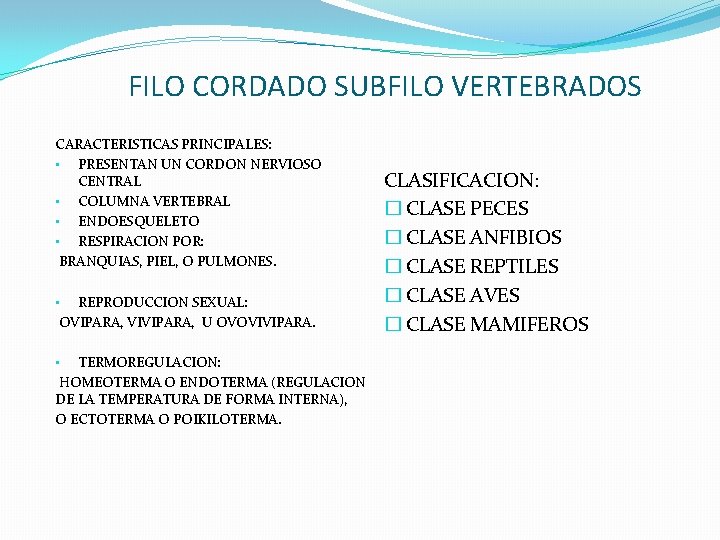 FILO CORDADO SUBFILO VERTEBRADOS CARACTERISTICAS PRINCIPALES: • PRESENTAN UN CORDON NERVIOSO CENTRAL • COLUMNA