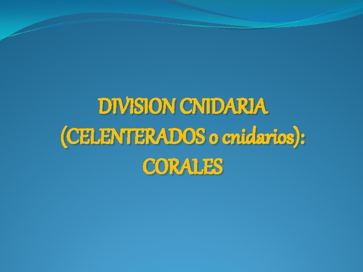 DIVISION CNIDARIA (CELENTERADOS o cnidarios): CORALES 