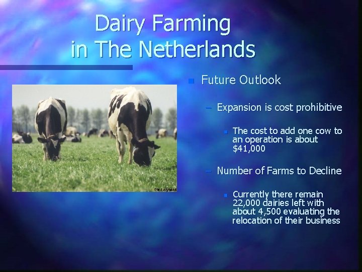 Dairy Farming in The Netherlands n Future Outlook – Expansion is cost prohibitive n