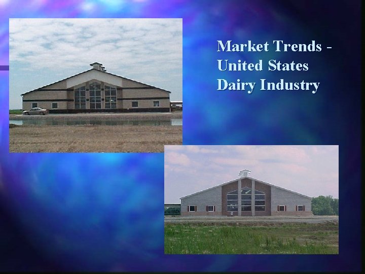 Market Trends United States Dairy Industry 