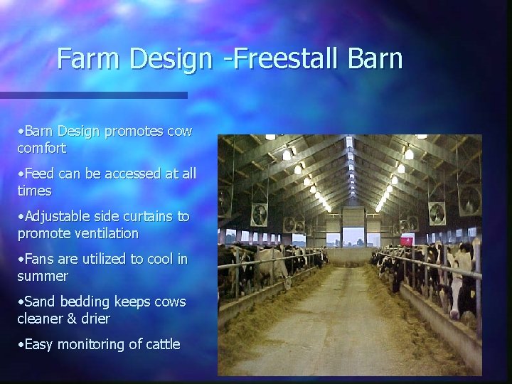 Farm Design -Freestall Barn • Barn Design promotes cow comfort • Feed can be