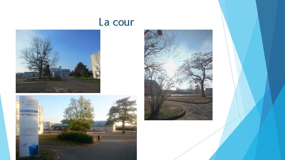 La cour 