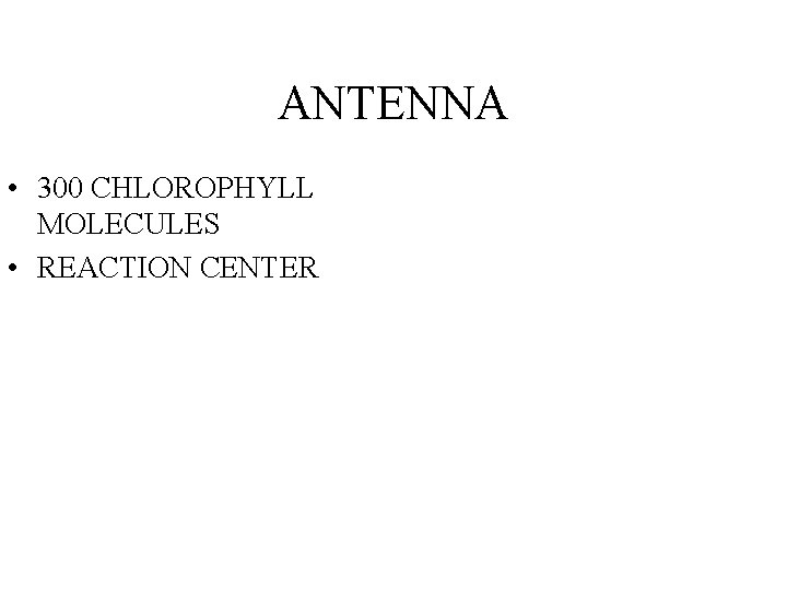 ANTENNA • 300 CHLOROPHYLL MOLECULES • REACTION CENTER 