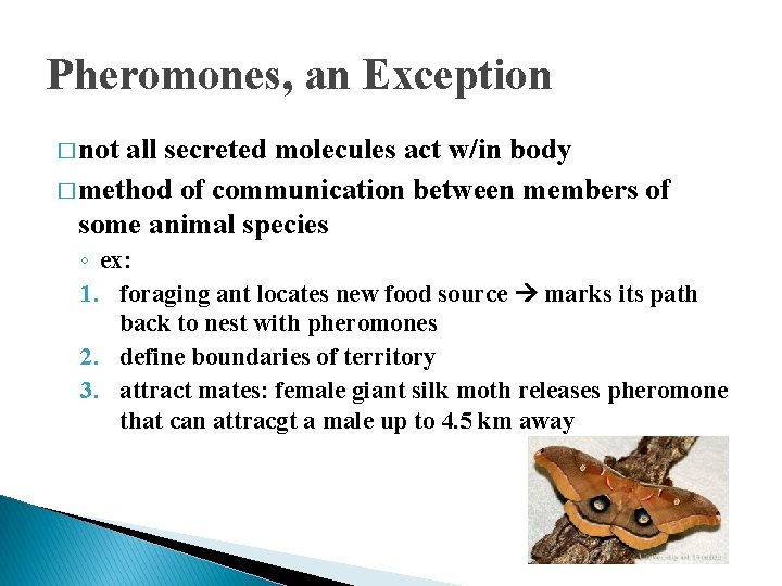 Pheromones, an Exception � not all secreted molecules act w/in body � method of Pheromones, an Exception � not all secreted molecules act w/in body � method of