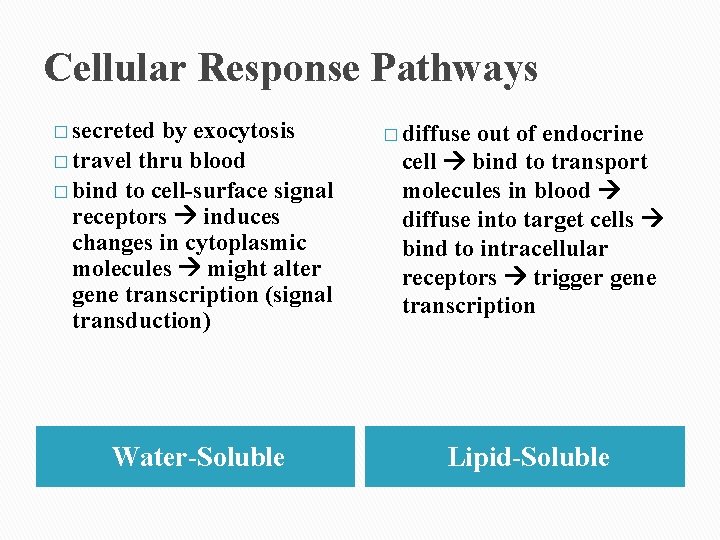 Cellular Response Pathways � secreted by exocytosis � travel thru blood � bind to Cellular Response Pathways � secreted by exocytosis � travel thru blood � bind to