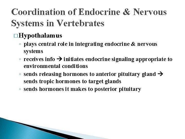Coordination of Endocrine & Nervous Systems in Vertebrates � Hypothalamus ◦ plays central role Coordination of Endocrine & Nervous Systems in Vertebrates � Hypothalamus ◦ plays central role
