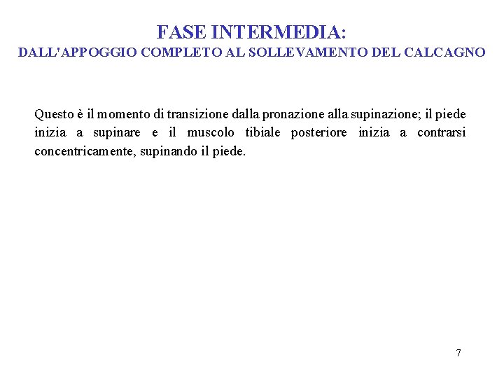 FASE INTERMEDIA: DALL'APPOGGIO COMPLETO AL SOLLEVAMENTO DEL CALCAGNO Questo è il momento di transizione