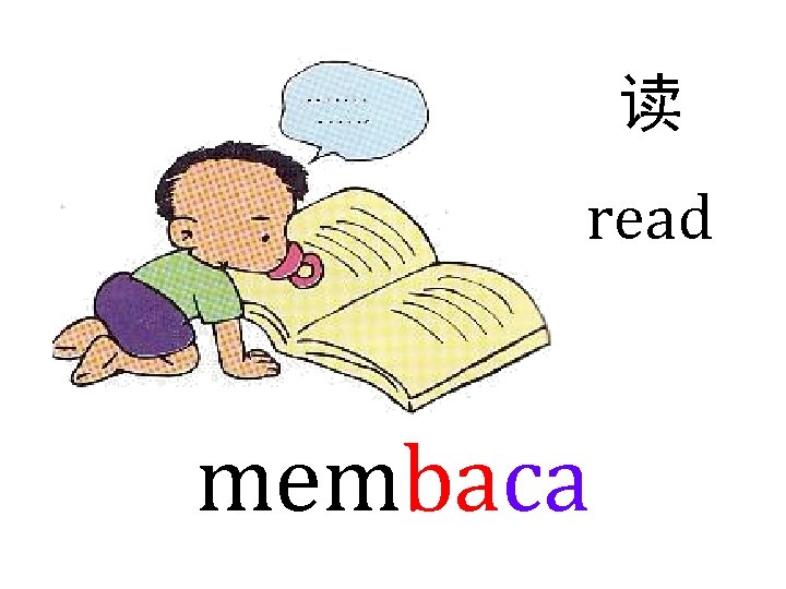 读 read membaca 