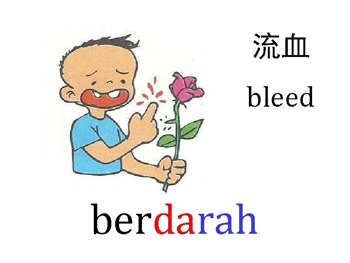 流血 bleed berdarah 