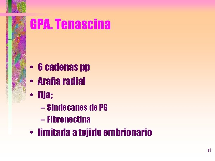 GPA. Tenascina • 6 cadenas pp • Araña radial • fija; – Sindecanes de