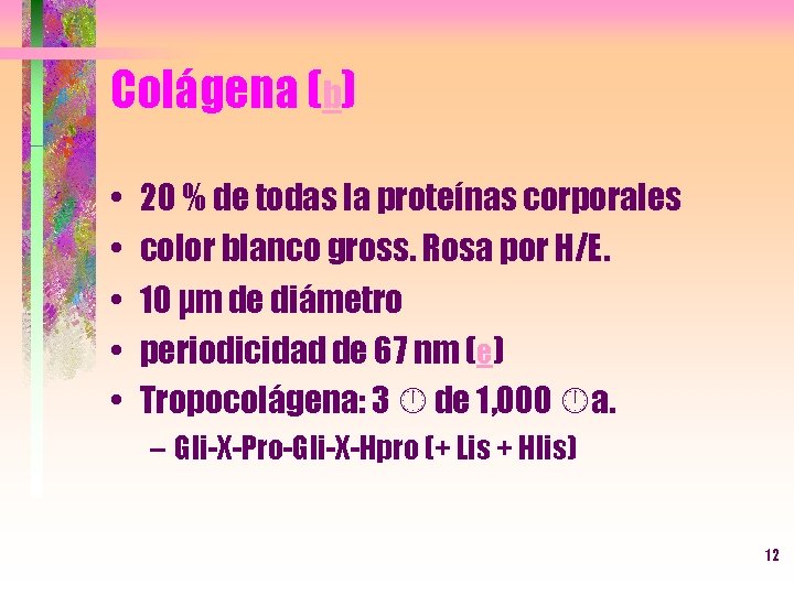Colágena (b) • • • 20 % de todas la proteínas corporales color blanco